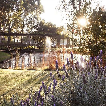 Hunter Valley Resort, Hunter Farm Adventure Centre & 4 Pines At The Farm Pokolbin Zewnętrze zdjęcie