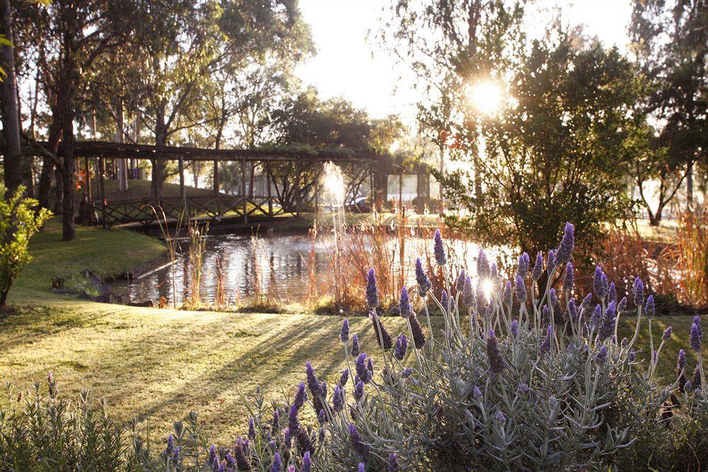 Hunter Valley Resort, Hunter Farm Adventure Centre & 4 Pines At The Farm Pokolbin Zewnętrze zdjęcie