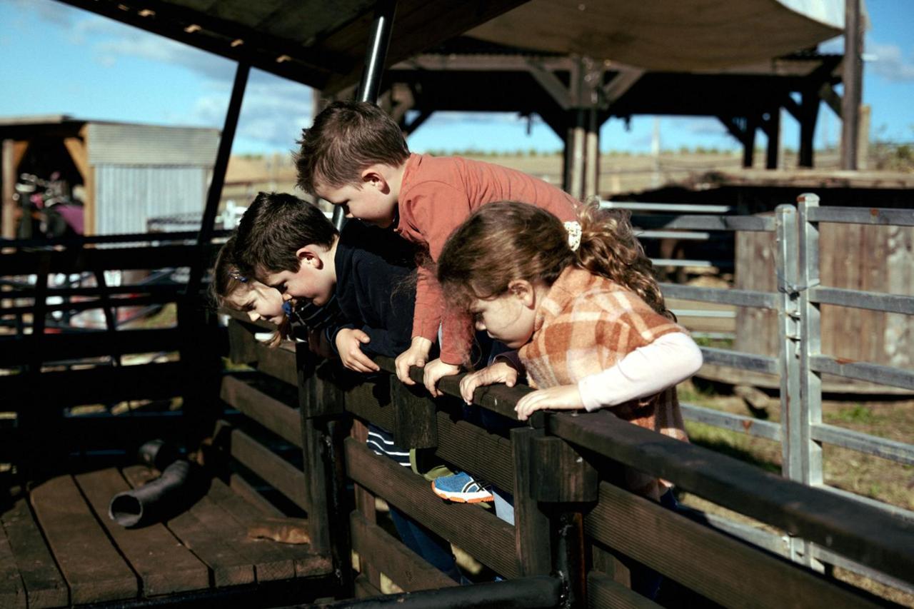 Hunter Valley Resort, Hunter Farm Adventure Centre & 4 Pines At The Farm Pokolbin Zewnętrze zdjęcie