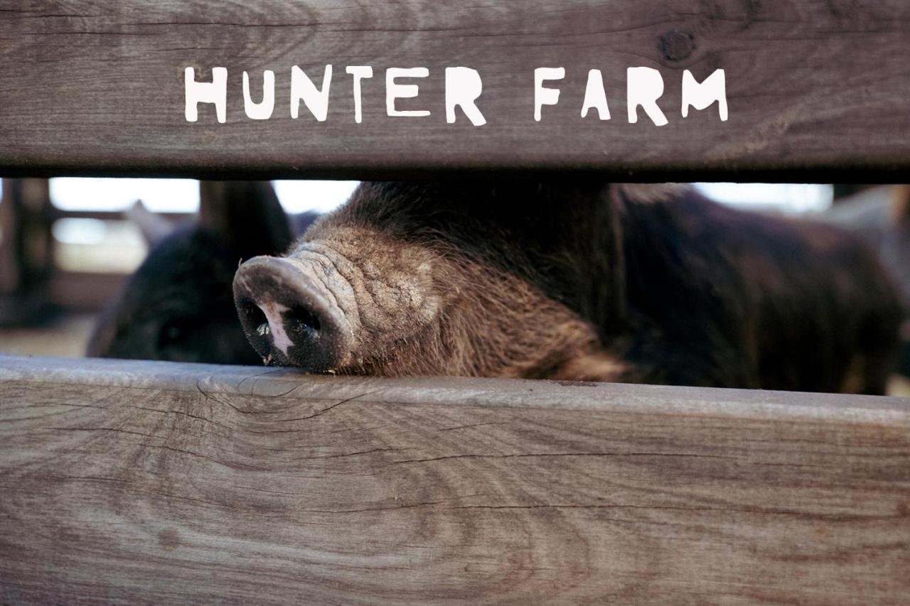 Hunter Valley Resort, Hunter Farm Adventure Centre & 4 Pines At The Farm Pokolbin Zewnętrze zdjęcie