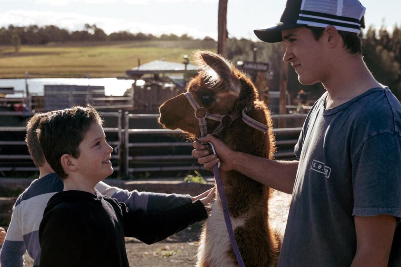 Hunter Valley Resort, Hunter Farm Adventure Centre & 4 Pines At The Farm Pokolbin Zewnętrze zdjęcie