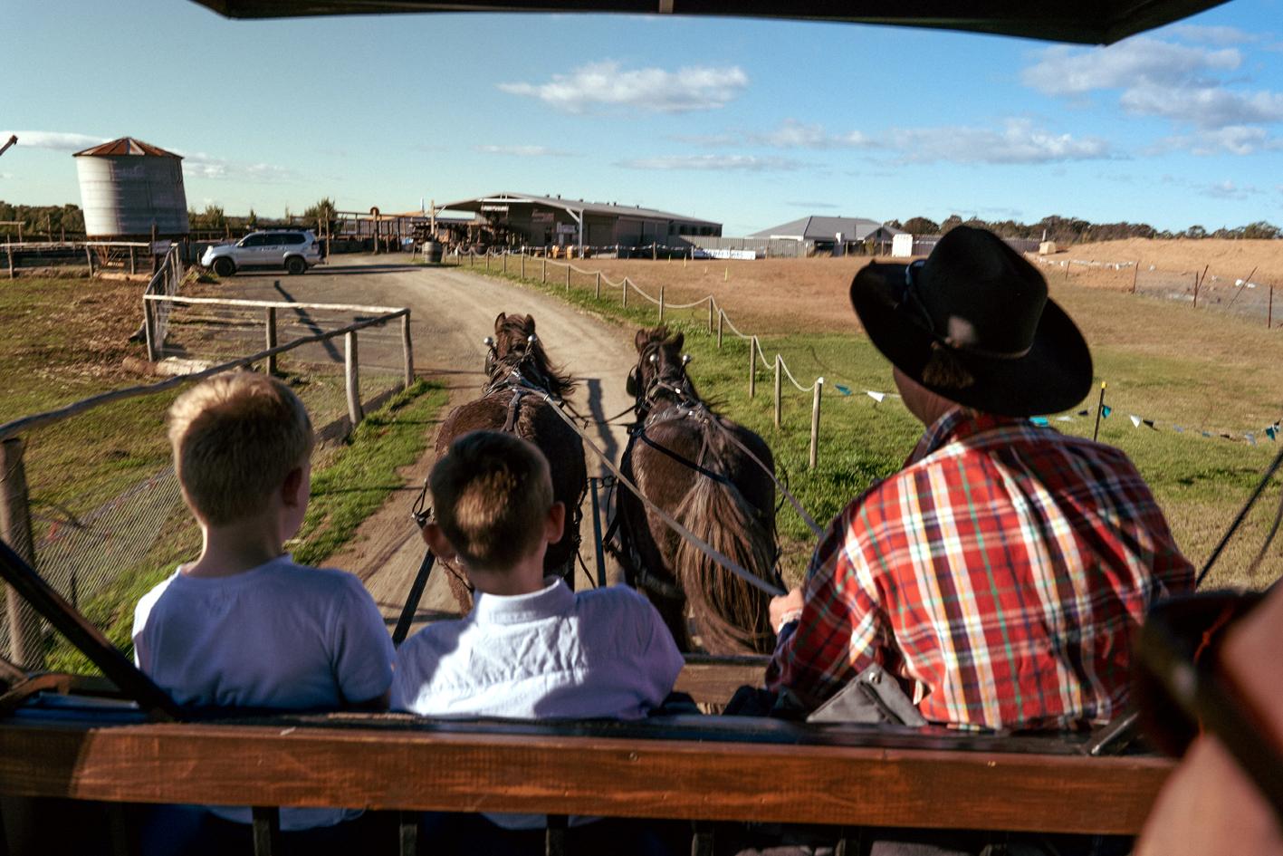 Hunter Valley Resort, Hunter Farm Adventure Centre & 4 Pines At The Farm Pokolbin Zewnętrze zdjęcie