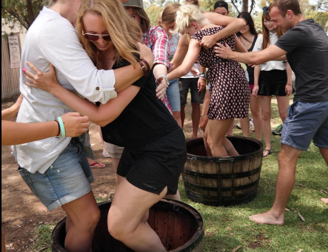 Hunter Valley Resort, Hunter Farm Adventure Centre & 4 Pines At The Farm Pokolbin Zewnętrze zdjęcie